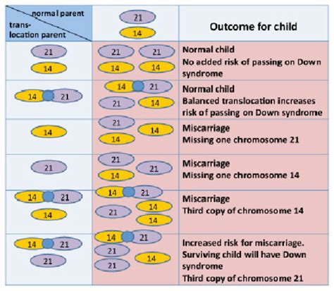 down syndrome probability calculator|Recurrence Odds .
